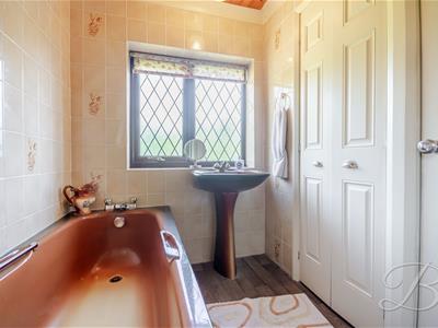 Picture 23